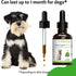 Pet Wellbeing Derma Support Gold for Dogs - Normal Skin Yeast Balance, Occasional Itching, Healthy Odor, Baikal