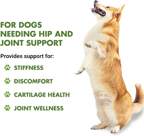 K9 16 oz Liquid-Vet Hip & Joint Saver, Chicken