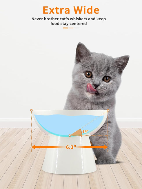 Elevated Cat Food and Water Bowls Set - Extra Wide Raised Ceramic Feeder for Kittens and Small Dogs (White)