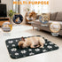 72x72in KOOLTAIL Washable & Waterproof Dog Whelping Pad for Large Dogs, Super Absorbent & Soft Warm Plush Puppy Pads