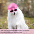 Frienda 4 Pieces Pet Dog Helmet and Goggles Set, Padded Motorcycle Helmet and Sunglasses for Small Dogs