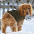 Queenmore Warm Dog Coat, Cold Weather Puffer Jacket with Ultra Thick Plush Lining (Green, Large)