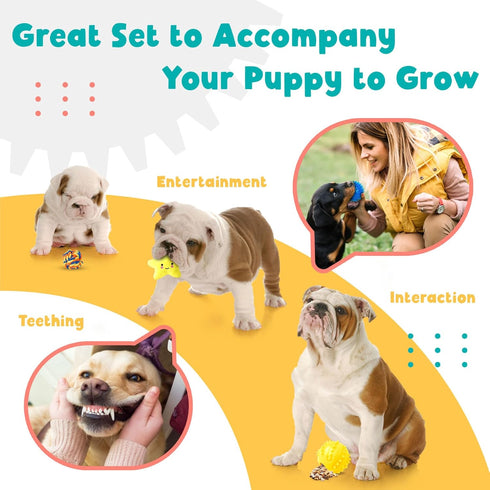 Zeaxuie 23 Pack Luxury Puppy Toys for Teething, Cute Small Dog Toys with Rubber Chew Toys, Treat Ball, Ropes and Plush