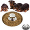 Puppy Dog Bowl - Stainless Steel Multiple Puppies Feeder, Basic Food and Water Bowls for Small, Medium, Large Dogs