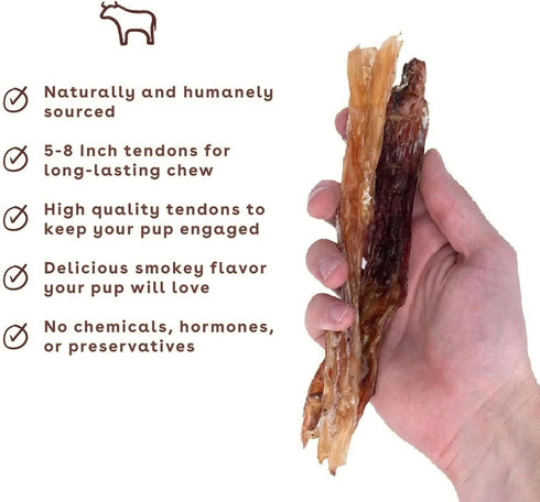(10 Count) Pupford Standard Beef Tendon Chews for Dogs & Puppies, All-Natural Dog Chew with Glucosamine for Joint