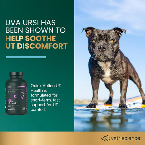 VetriScience Laboratories UT Strength STAT for Dogs, Urinary Tract Support, 90 Chewable Tablets