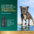 VetriScience Laboratories UT Strength STAT for Dogs, Urinary Tract Support, 90 Chewable Tablets