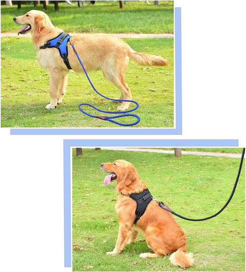 6 FT/8 FT/10 FT Rope Dog Leash, 1/2” Strong Nylon Climbing Leash with Leather Connection for Medium Large Dogs