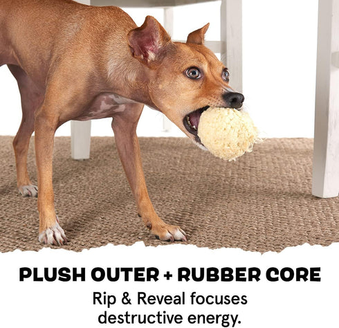 Barkbox Super Chewer Tough Dog Chew Toys for Aggressive Chewers, Plush 2 Toys in 1 (Potato - Small)