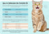 Cozy Comfort Carrier - Small Cobalt Blue Cat Carrier, Soft for Grooming, Vet Visits, and Travel