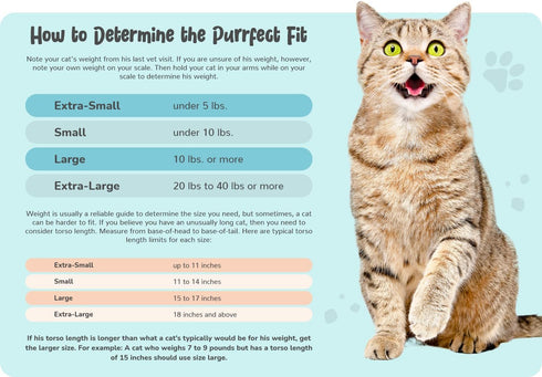 Cozy Comfort Carrier - Large Caramel Pet Carrier for Cats, Travel, Vet Visits, Medication Administration