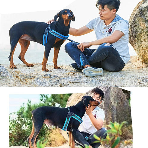 No Pull Dog Harness, Ultra Soft Breathable Padded Pet Harness, 3M Reflective for Small Medium Large Dogs (L, Bright