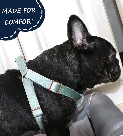 ARING PET Velvet Dog Halter Harness, Adjustable No Pull Heavy Duty Harness for Small to Large Dogs