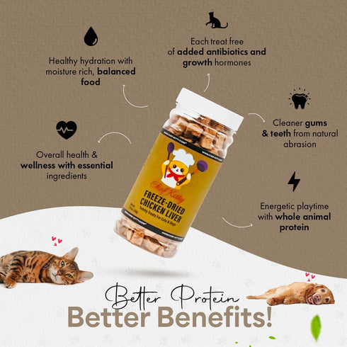 Freeze Dried Chicken Liver Cat & Dog Treats: 100% Human Grade Chicken, Healthy Raw Food, 1.75 oz