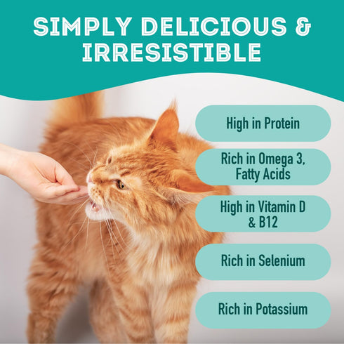 Dehydrated Protein Wild Salmon & Tuna Treat for Dogs & Cats - Slowly Dehydrated Raw Single Ingredient