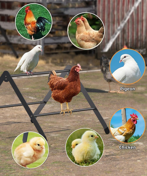 BHSAUGXI Chicken Roosting Perch, Adjustable Chicken Perch for Coop, Training Chicken Roosting Perches with Metal Stand