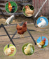 BHSAUGXI Chicken Roosting Perch, Adjustable Chicken Perch for Coop, Training Chicken Roosting Perches with Metal Stand