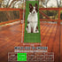 2FTx8FT GLOBREEN Large Dog Grass Pee Pad, Artificial Grass Puppy Potty Training, Indoor Outdoor Pets Turf Balcony Patio