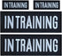 4 Pcs In Training Patch: Removable Embroidered Tactical Vest Patch for Dog Vest, Carrier, and Collar