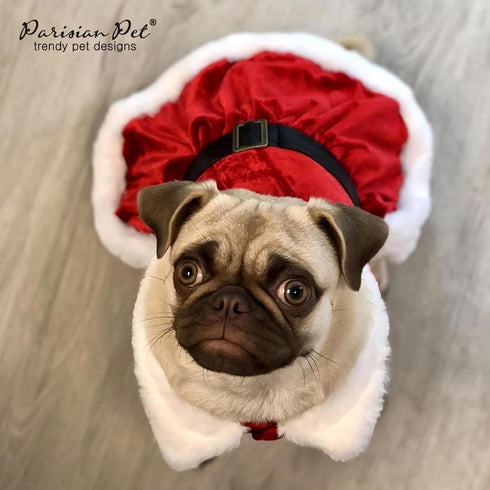 Parisian Pet Christmas Dress, Mrs. Santa Claus Dog Costume with Red Velvet Skirt for Large Dogs