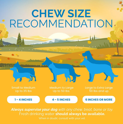 6 Inch Beef Collagen Sticks for Dogs - Rawhide Free Long Lasting Chew Treats for Large Dogs, 25 Count