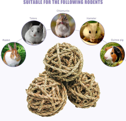 Bac-kitchen 10 Chinchilla Accessories(10Pcs) Pcs Small Animals Play Balls Rolling Activity Chew Toys Gnawing Treats