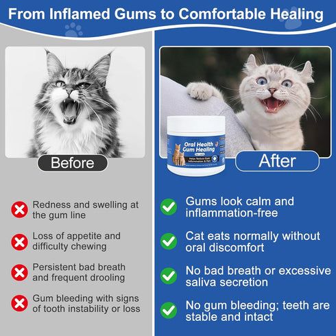 Ourea Inflammation, 4 oz Oral Health for Cats, Cat Gingivitis Treatment, Reduce Gum Redness & Pain, Combats Gum