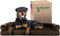 Furhaven Orthopedic Dog Bed for Large Dogs, Removable Bolsters, Washable Cover, Plush Suede Sofa, Espresso, Jumbo/XL