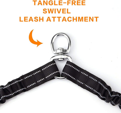 Double Dog Leash for Two Dogs - No Tangle, Comfortable Shock Absorbing Bungee Leash