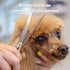 Professional Straight Dog Grooming Scissors, 440C Stainless Steel Polished Pet Hair Cutting Shears, 8''