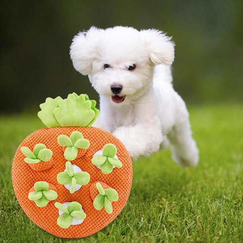 Leefasy 7 Funny Carrot Toys Hole Interactive Toys Decor for Indoor Cats Puppy