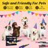 Dog Nail Polish Pens - Quick Dry, 12 Colors Safe Dog Nail Polish Set for DIY Pretty Nails, Non-Toxic, Pet Nail