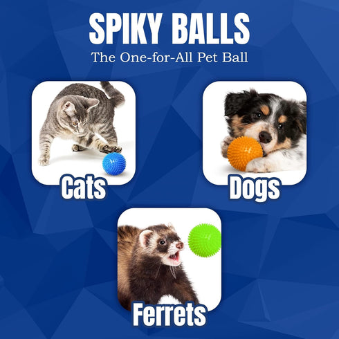 CoCoo 3-Pack Squeaky Dog & Ferret Ball Toys, 2.3", Spikey Rubber Balls for Multi-Pet Homes, Toss Fetch
