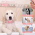 Dog Shock Collar with Remote, 1800FT Rechargeable Waterproof Training Collar for 5–15lbs Puppy or Large Dogs
