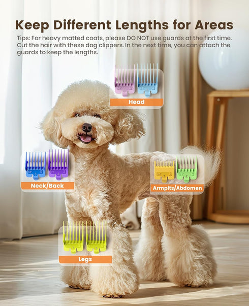 2 oneisall Dog Grooming Clippers for Thick Heavy Coats,Low Noise Cordless Dog Grooming Kit with Metal Blades, All