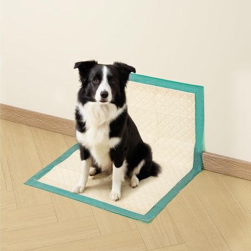 22"x37", 30 Count, Gardner Pet Dog Pee Pads Extra Large Puppy Pee Pads with Adhesive Sticky Tape, Leak Prevention
