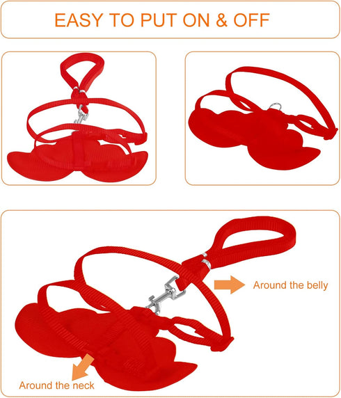 Duck Walking Harness and Leash, Adjustable Rope for Chicken Duck Outdoor Training, Pet Poultry Hen Cock (S, Red)