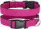Glittering Basic Dog Collar, Comfy Durable Adjustable Nylon for Small Medium Large Dogs, Eco-Friendly Plastic Buckle,