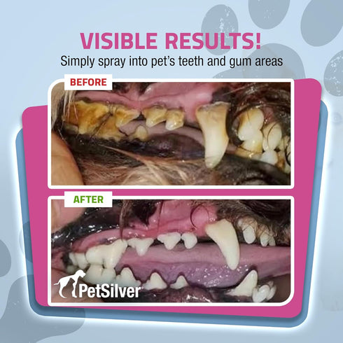 PetSilver Teeth & Gum Spray for Dogs and Cats, Natural Breath Freshener, 4 oz