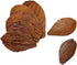 SunGrow Betta Leaves - 50 Pcs, 2” Mini Catappa Indian Almond Leaves for Fish Tank