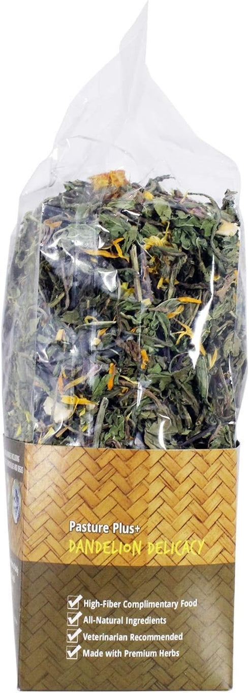 Pasture Plus+ Dandelion Delicacy - Healthy High-Fiber Dried Flower Treat for Small Pets
