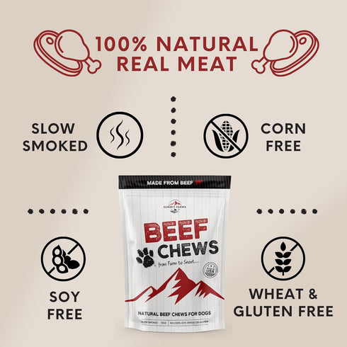 Beef Jerky Dog Treats 15 Oz Pack - All-American Slow Roasted Beef Training Treats - Healthy & Delicious Reward Snack