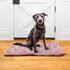 Pink Floral Pet Bed Pad, Soft Dog Bed Mat with Anti-Slip Bottom, Machine Washable Crate Pad for Dog Sleeping
