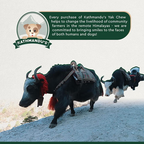 Authentic Himalayan Natural Dog Cheese Chew, Pack of 4 Large & XLarge Chews, Premium Organic Yak Chew for Indoor and