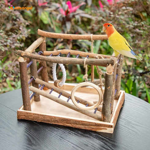 Niteangel Bird Activity Center - Natural Playground for Birds