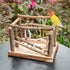 Niteangel Bird Activity Center - Natural Playground for Birds