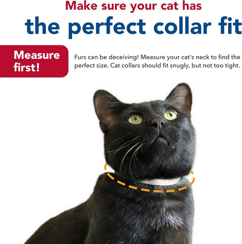 Coastal Pet New Earth Soy Adjustable Breakaway Cat Collar, Eco-Friendly, Cranberry, 3/8" x 08"-12"
