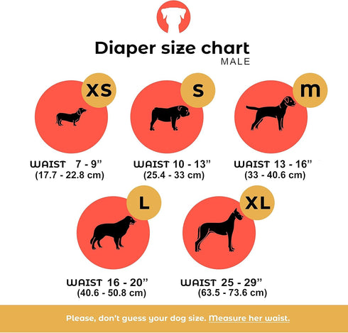 3 Pack Set PETTING IS CARING Male Dog Wraps Washable & Reusable Belly Band Diapers Materials Durable Machine Washable