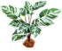 JIHAQUA Reptile Artificial Plants, Terrarium Decorations, Amphibian Habitat Hideout Plastic Plants, Green Vines