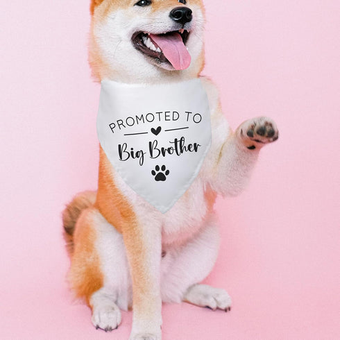 Yishuliwu Promoted to Big Brother White Pet Dog Bandanas Triangle Scarf Bandanas Bibs Birthday Party Props Gender
